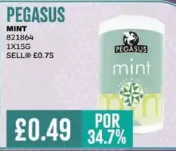 Bestway PEGASUS MINT offer