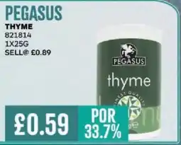 Bestway PEGASUS THYME offer