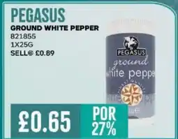 Bestway PEGASUS GROUND WHITE PEPPER offer