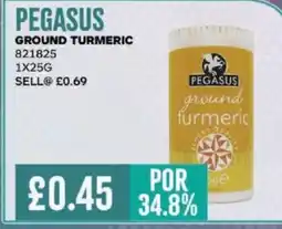 Bestway PEGASUS GROUND TURMERIC offer
