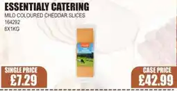 Bestway ESSENTIALY CATERING Mild coloured cheddar slices offer