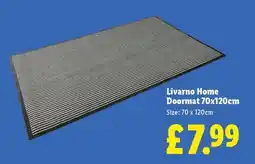 Lidl Livarno Home Doormat 70x120cm offer