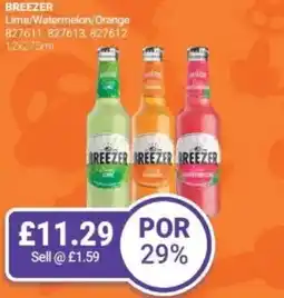 Bestway BREEZER Lime/Watermelon/Orange offer