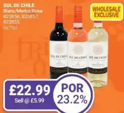 Bestway SOL DE CHILE Blanc/Merlot/Rose offer