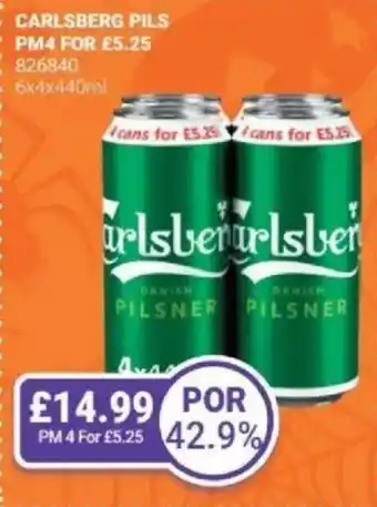Bestway CARLSBERG PILS offer