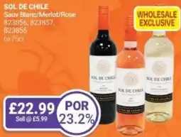 Bestway SOL DE CHILE Sauv Blanc/Merlot/Rose offer