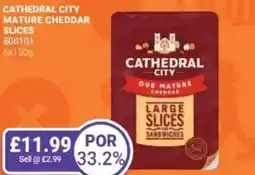 Bestway Cathedral city mature cheddar slices offer