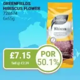 Bestway GREENFIELDS Hibiscus flower offer