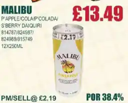 Bestway MALIBU P'apple/cola/p colada/ s'berry daiquiri offer