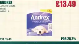 Bestway ANDREX Ultimate quilts offer