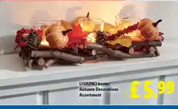 Lidl LIVARNO HOME Autumn Decorations Assortment offer