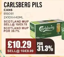 Bestway CARLSBERG PILS Cans offer