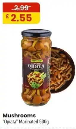 MyMINIMIX Mushrooms "Opiata" Marinated offer