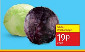 Aldi White - Red Cabbage offer