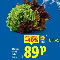 Lidl Deluxe Salad Trio offer