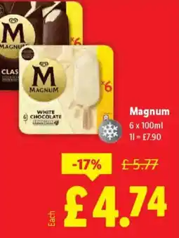 Lidl Magnum offer