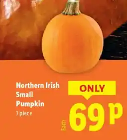 Lidl Northern Irish Small Pumpkin offer