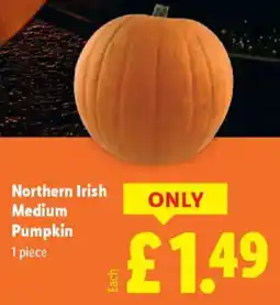 Lidl Northern Irish Medium Pumpkin offer