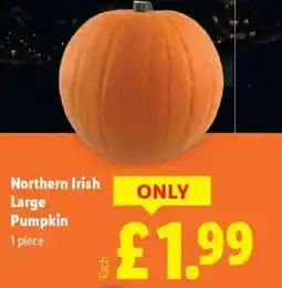 Lidl Northern Irish Large Pumpkin offer