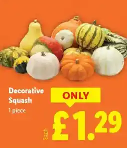 Lidl Decorative Squash offer