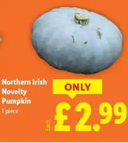 Lidl Northern Irish Novelty Pumpkin offer
