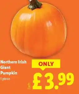 Lidl Northern Irish Giant Pumpkin offer