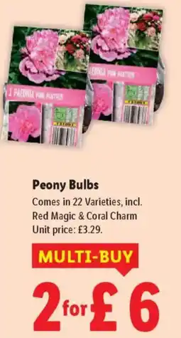 Lidl Peony Bulbs offer