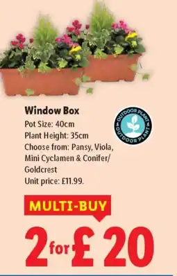 Lidl Window Box offer