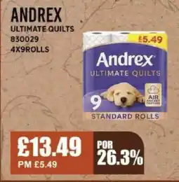 Bestway ANDREX Ultimate quilts offer