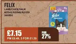 Bestway FELIX Lamb/chick/salm offer