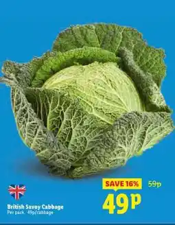 Lidl British Savoy Cabbage offer