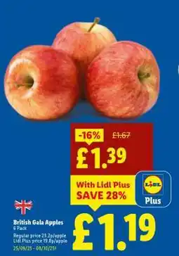Lidl British Gala Apples offer
