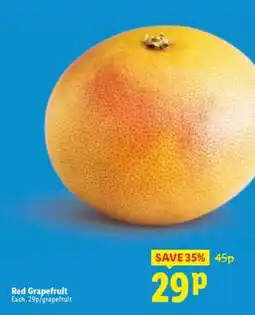 Lidl Red Grapefruit offer