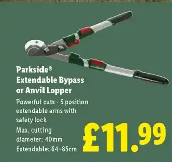 Parkside Extendable Bypass or Anvil Lopper