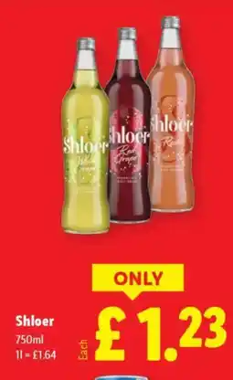 Lidl Shloer offer
