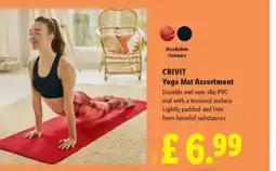 Lidl CRIVIT Yoga Mat Assortment offer