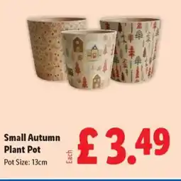 Lidl Small Autumn Plant Pot offer