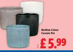 Lidl Medium Colour Ceramic Pot offer