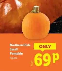Lidl Northern Irish Small Pumpkin offer
