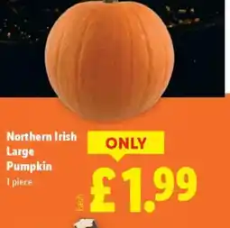 Lidl Northern Irish Large Pumpkin offer