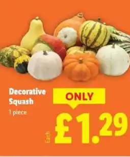 Lidl Decorative Squash offer