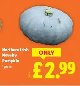 Lidl Northern Irish Novelty Pumpkin offer