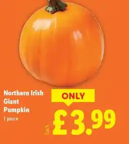 Lidl Northern Irish Giant Pumpkin offer