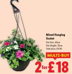 Lidl Mixed Hanging Basket offer