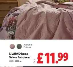 Lidl LIVARNO home Velour Bedspread offer