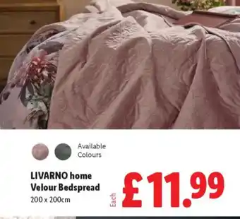Lidl LIVARNO home Velour Bedspread offer