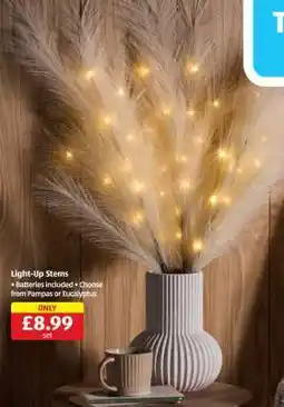 Aldi Light-Up Stems offer