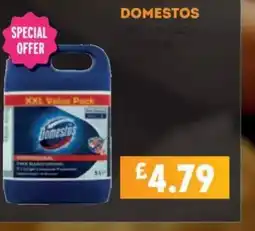 Bestway Domestos offer