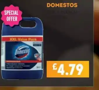 Bestway Domestos offer