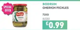 Bestway BODRUM Gherkin pickles offer
